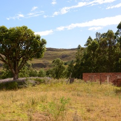 2015-05 South Africa/Drakensburg/DSC_0108.JPG